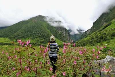 Valley of Flowers