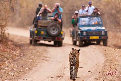 Khajuraho With Tiger Tour