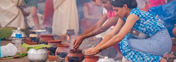 pongal-harvest-festival-festival-in-andhra-pradesh