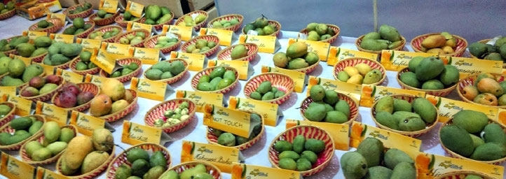 Mango Festival in Haryana 2022, Festivals in Haryana-IHPL