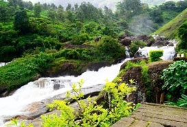 Attukad Waterfalls