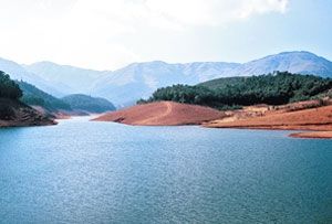 Avalanche Lake in Ooty