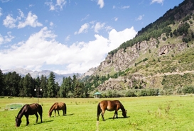 Betaab Valley