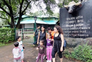 Bison Lodge and Museum Panchmarhi