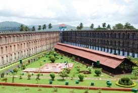 Cellular Jail