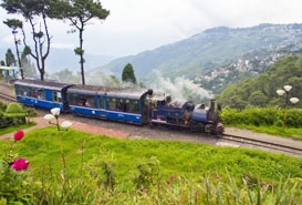 Toy Train in Darjeeling