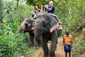 Elephant Ride