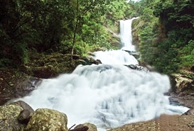 Iruppu Falls Coorg