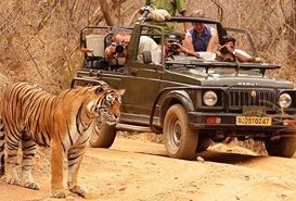 Kanha National Park