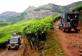 Kolukkumalai Tea Estate