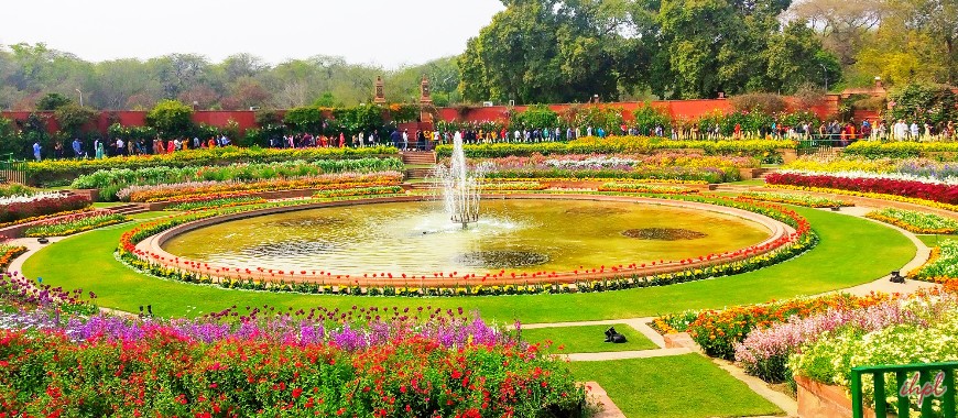 Mughal Garden Delhi - New Delhi Mughal Garden India - Mughal Gardens Tour