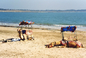 Nagoa Beach Diu