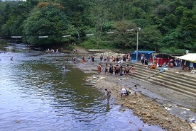 Pamba River Idukki