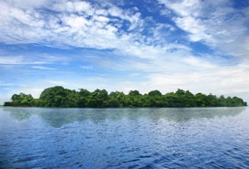 Pathiramanal Island in Alleppey