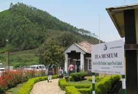 Tata Tea Museum Munnar