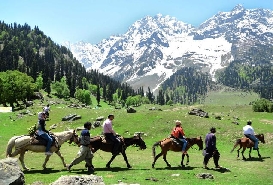 Thajiwas Glacier