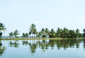 Vembanad Lake