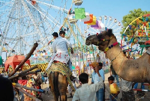 Pushkar Camel Fair 712 