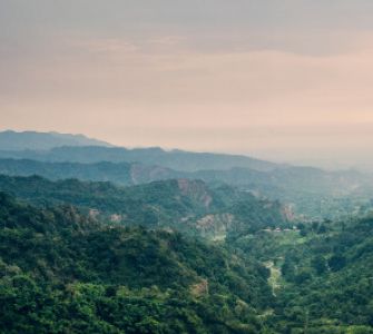 Kasauli