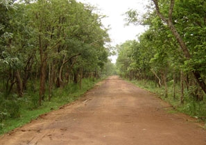 Fauna in Nagarjunasagar, Fauna in Nagarjunasagar Wildlife Sanctuary ...