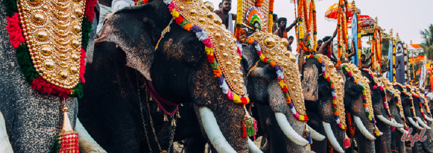 elephant festival