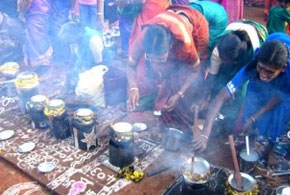 Pongal in Pondicherry