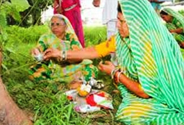 Hariyali, Kora, Navakhani and Cherta Festivals