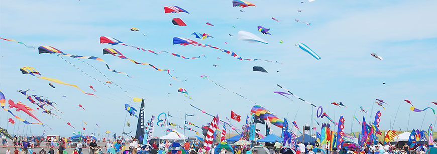 makara-sankranti