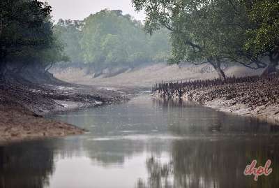 Spectacular Sunderbans (Wildlife Special)