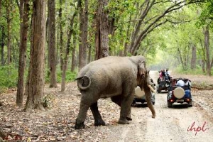 Short Escape to Corbett Luxury Tour