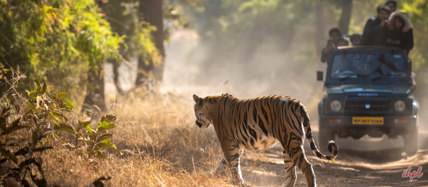 Bandhavgarh National Park