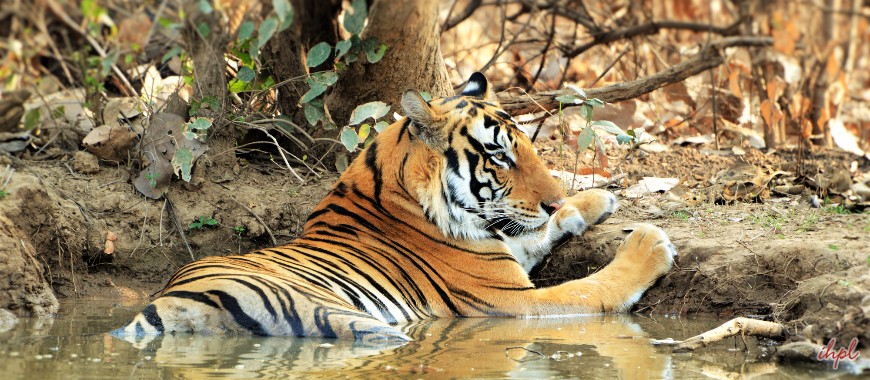 Panna National Park