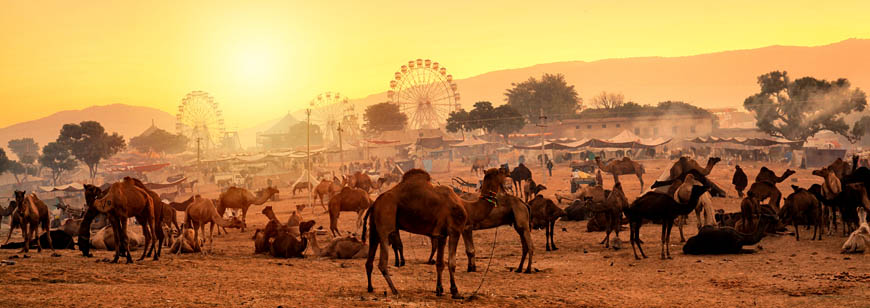 Pushkar Fair