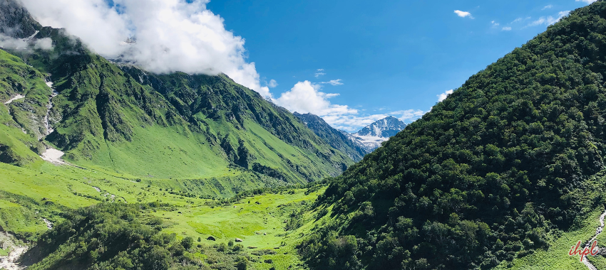 Chopta Tourism