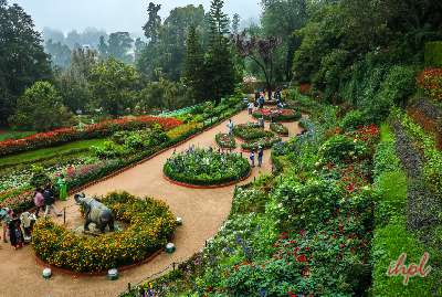 Coonoor Ooty Tour From Coimbatore