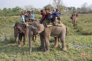 Corbett Wildlife Safari