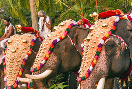 Guruvayur Festival