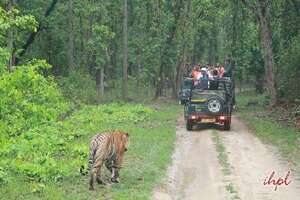 Khajuraho Dance Festival with Wildlife