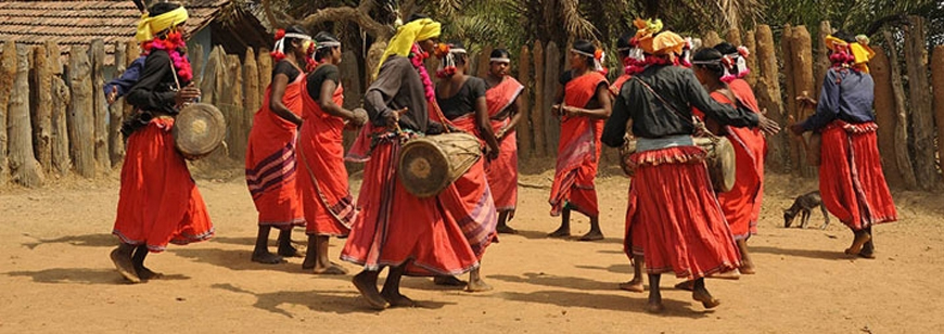 Narayanpur Mela|Navakhana Festival