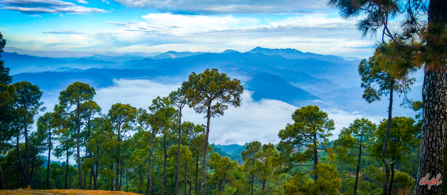 Ranikhet Tourism