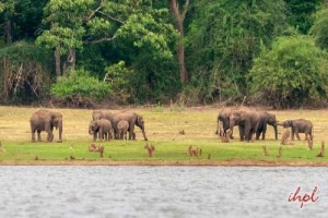 Short Escape Kabini Tour