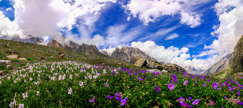 Valley of Flowers Tourism