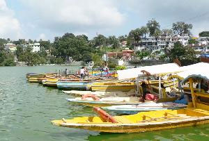 Winter Festival Mount Abu