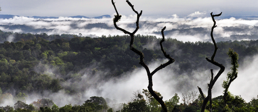 Bangalore to Coorg