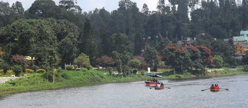 Bangalore to Yercaud