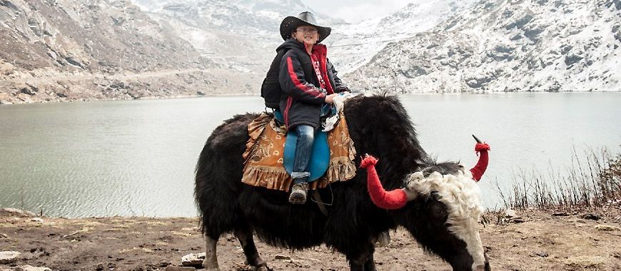 Yak-Ride-in-Gangtok