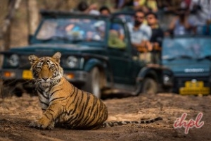 Melghat Tiger Reserve