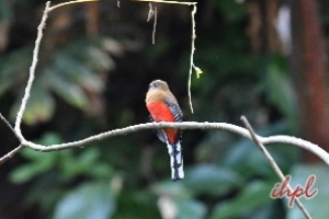 Namdapha Tiger Reserve