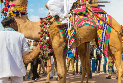 Golden Triangle Tour with Pushkar