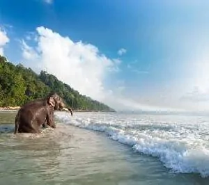 Short Escape to Andaman